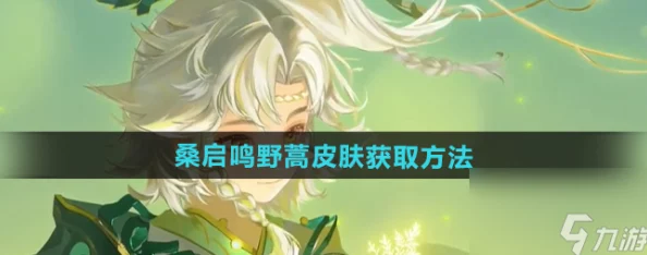《王者荣耀》桑启鸣野蒿皮肤全方位获取方法攻略及注意事项详解